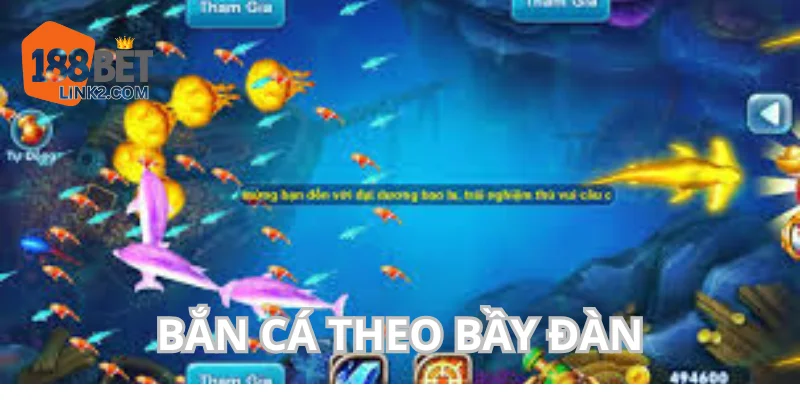 Bắn cá theo bầy giúp tăng xác suất trúng.