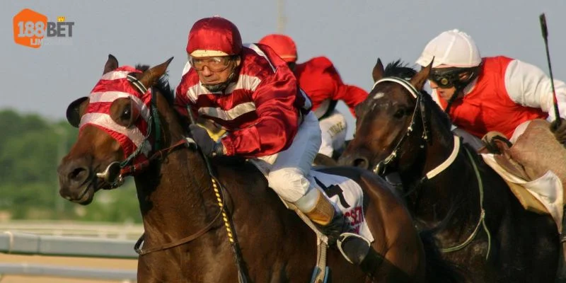 Các mẹo cá cược đua ngựa cần được vận dụng linh hoạt.